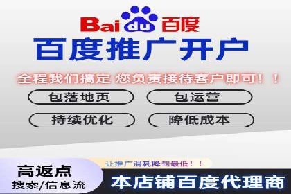 搜索引擎竞价推广实战：行业领先企业的成功秘诀